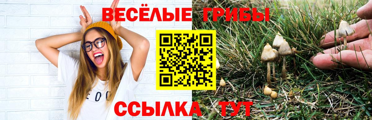 Галлюциногенные грибы мицелий Егорьевск